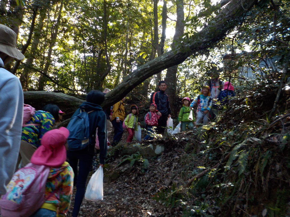 山登り