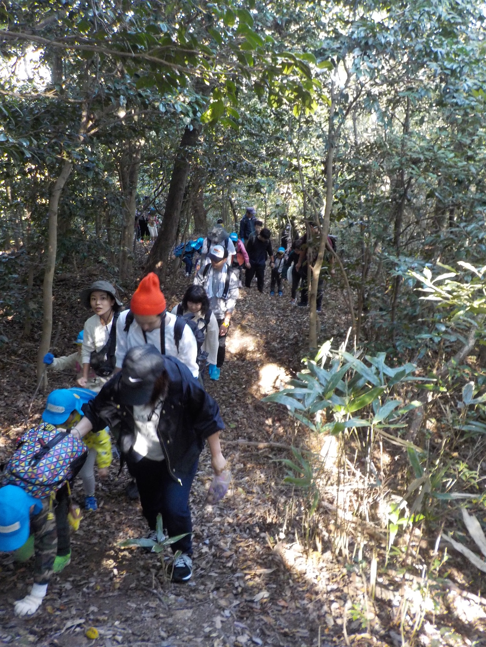 山登り