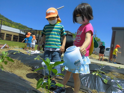 苗植えしたよ おおつか福祉会