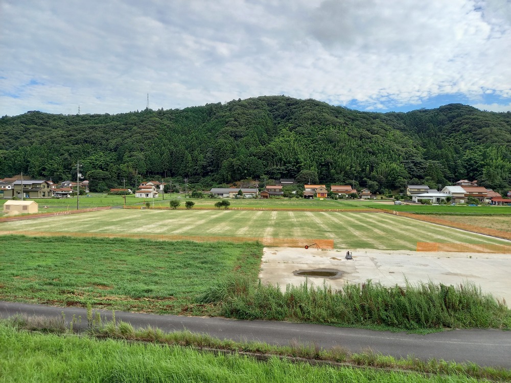 芝の様子