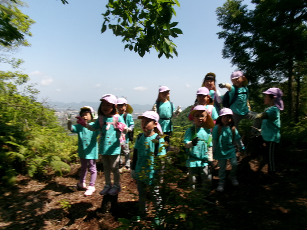 高瀬山